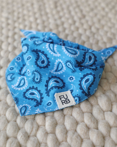 Blue paisley dog bandana with western pattern, perfect for French Bulldogs or small breeds