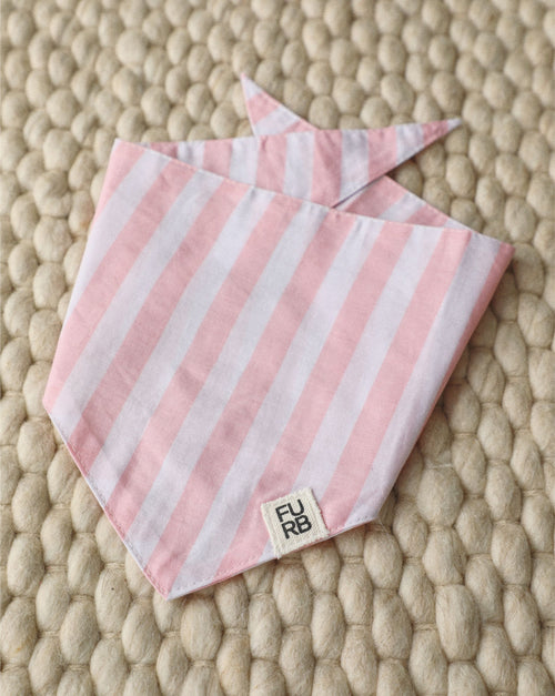 Breezy pink dog accessory with stylish stripe pattern