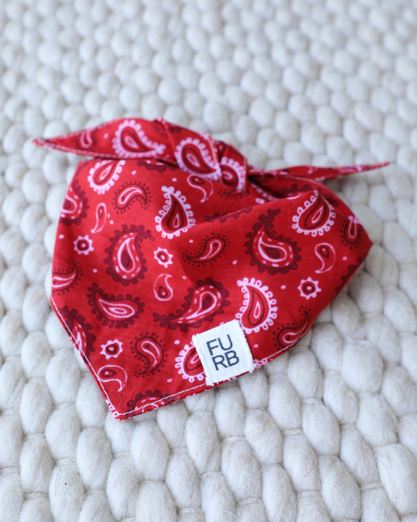 Hello Dolly Red Paisley Dog Bandana