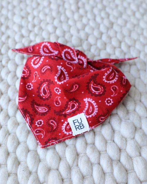 Classic red paisley dog bandana with Americana charm