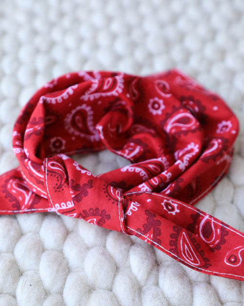 Bright red dog accessory for every season