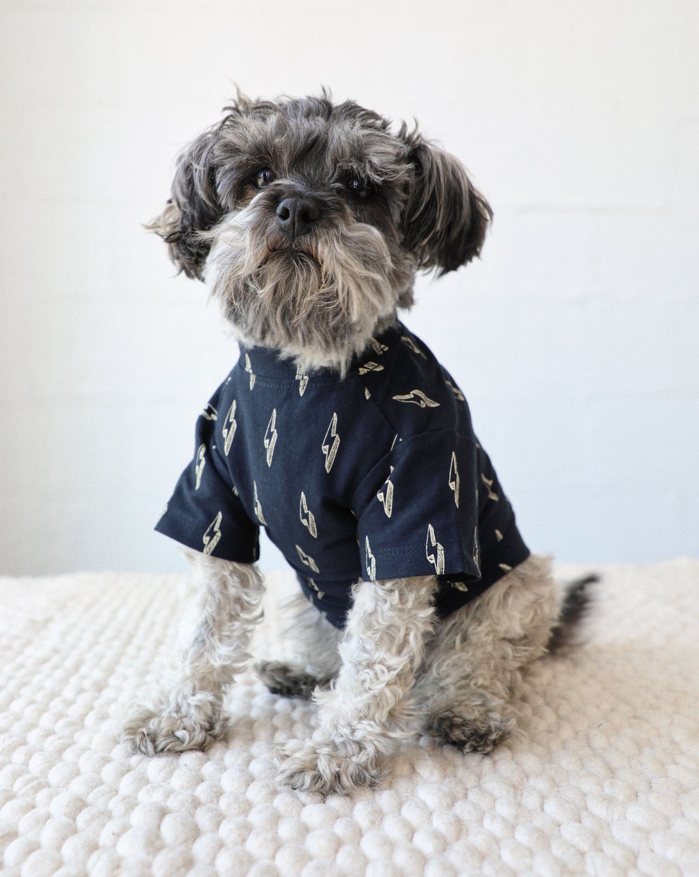 Strike a Pose Lightning Bolt Dog T-Shirt