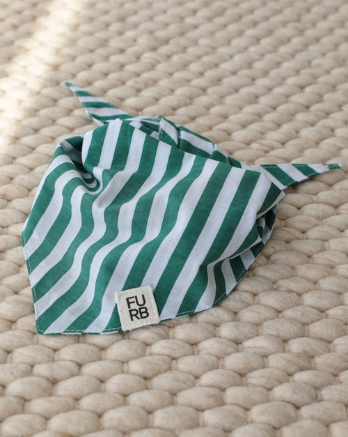 Stylish green and white striped dog bandana perfect for warm weather walks