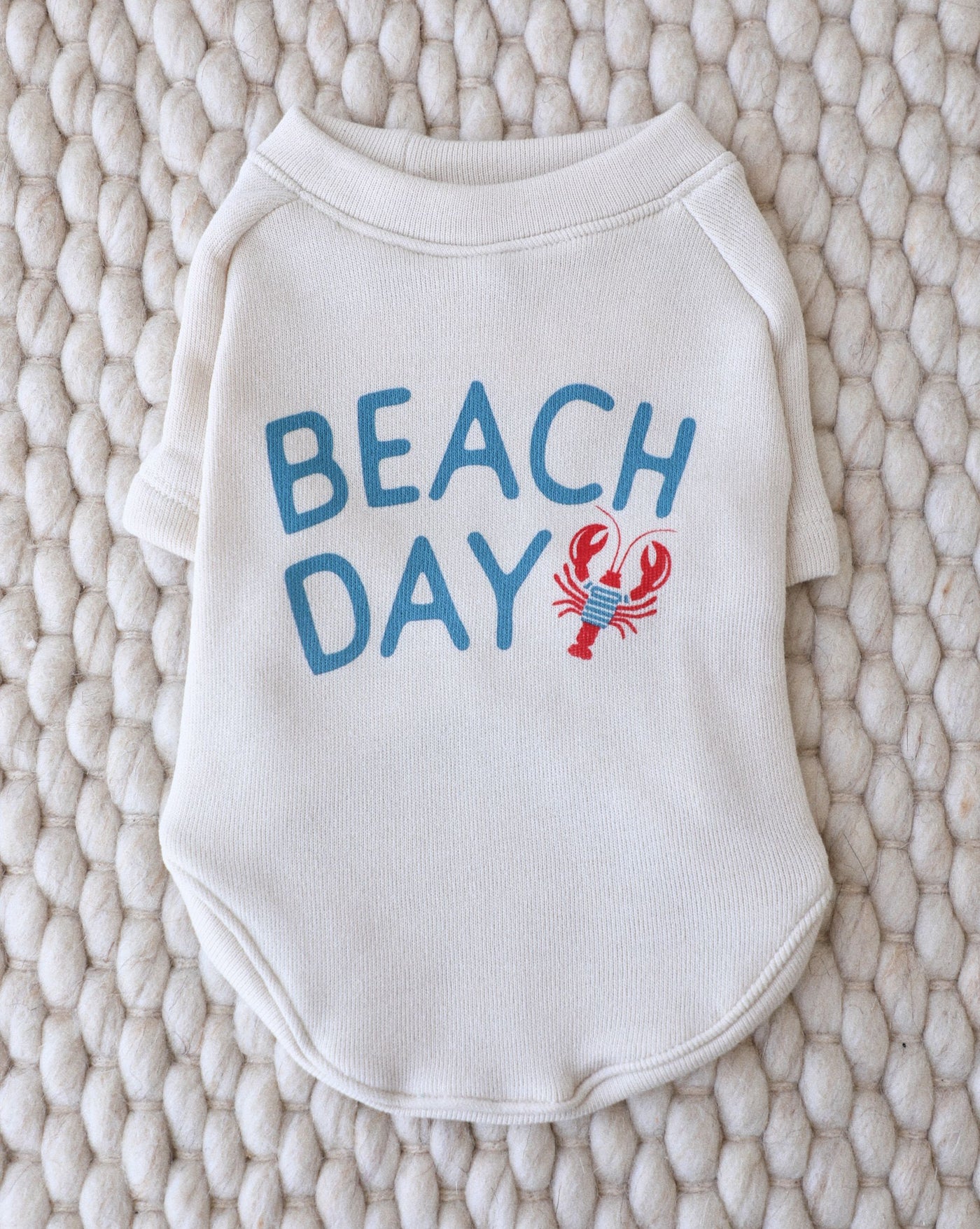 Beach Day Dog Sweatshirt