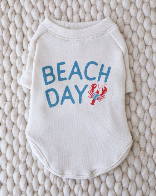 Light blue dog sweatshirt with “Beach Day” print – cozy style for breezy summer nights