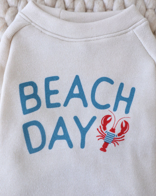 Comfy dog sweatshirt with playful beach motif – ideal for coastal pups and poolside lounging