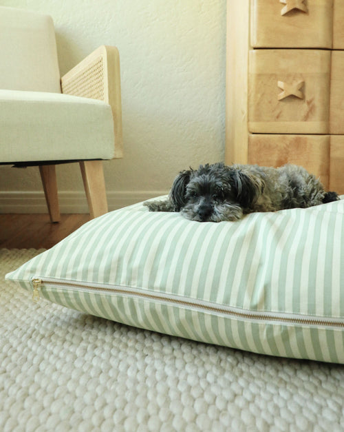 Modern green striped dog bed with soft cushions for stylish small pet lounging.
