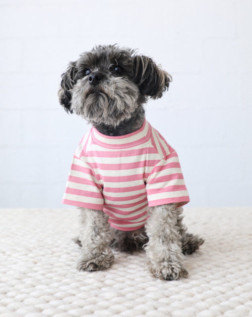 Tickled Pink dog t-shirt styled on small dog, showing breathable cotton for active pups.