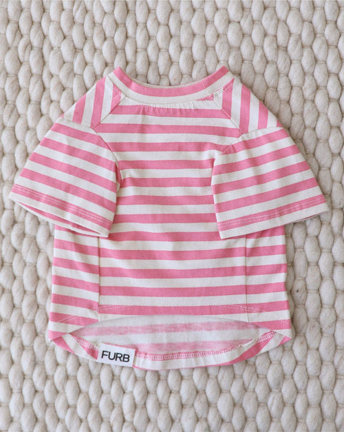 Dog in pink striped t-shirt showing snug, comfortable fit for playful pets.