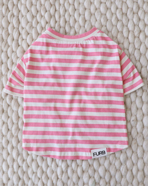 Small dog wearing pink striped Tickled Pink dog t-shirt, soft cotton fabric for comfort.