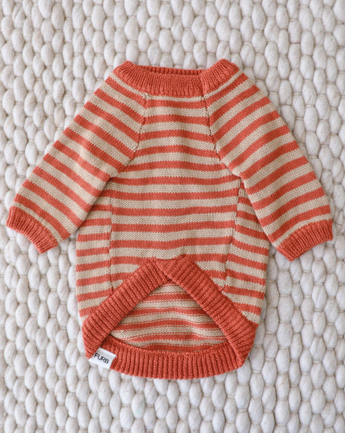 Like A Bandit Orange Striped Dog Sweater