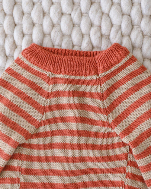 Like A Bandit Orange Striped Dog Sweater