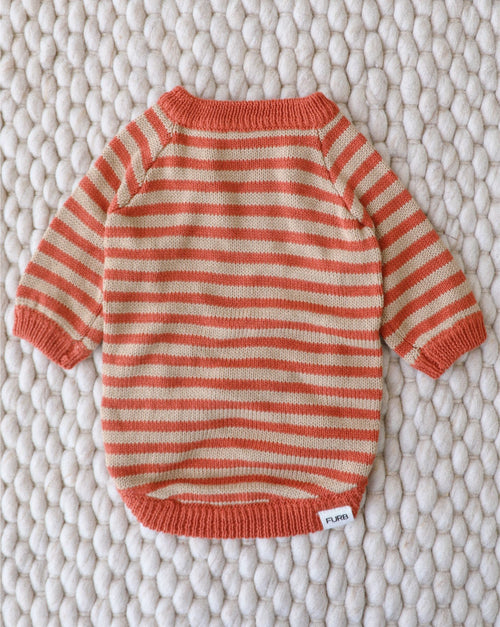 Like A Bandit Orange Striped Dog Sweater