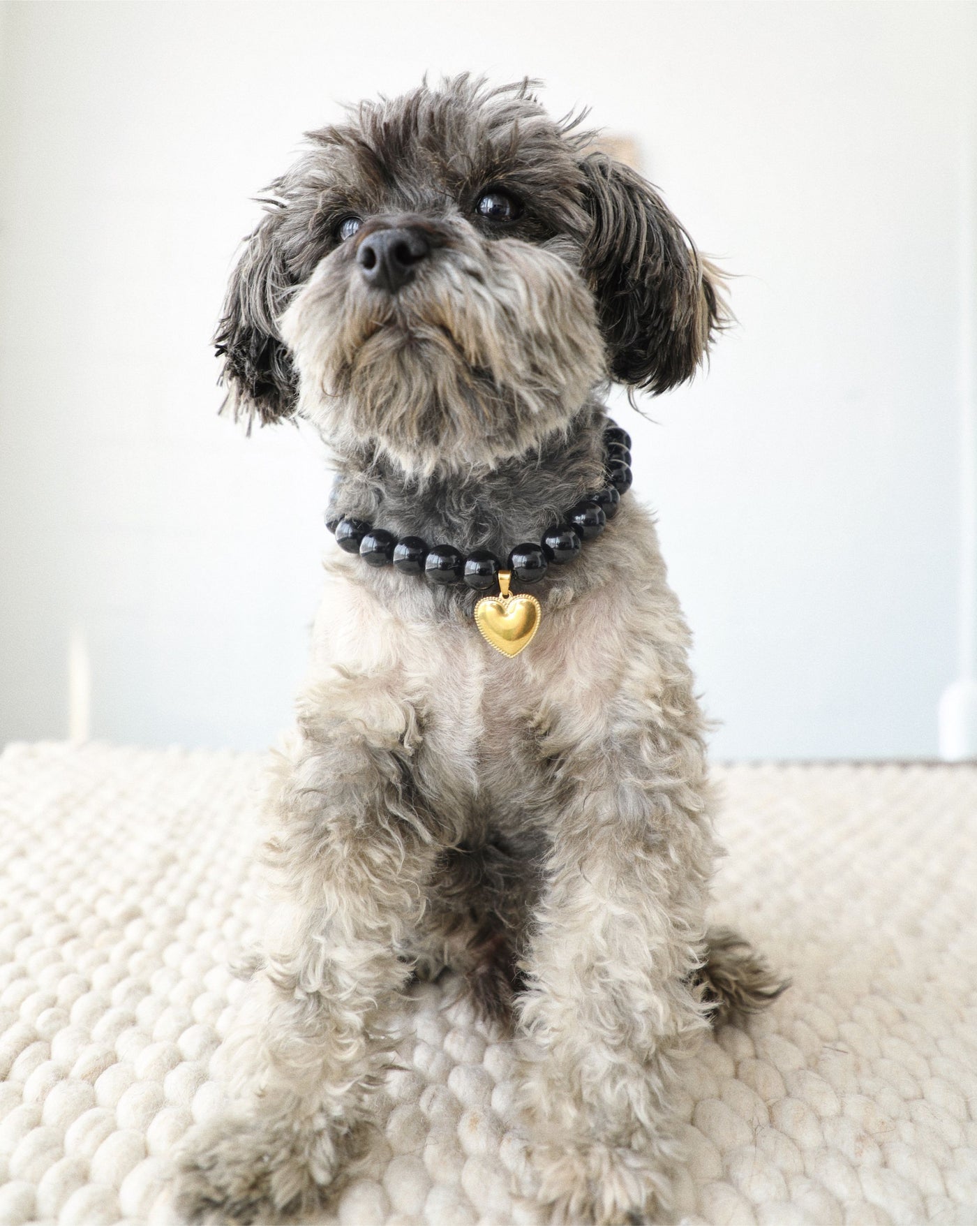Polished Pup Black Beaded Dog Necklace