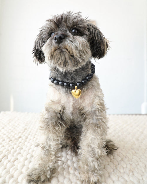 Side view of Polished Pup black beaded dog necklace showing fit and style