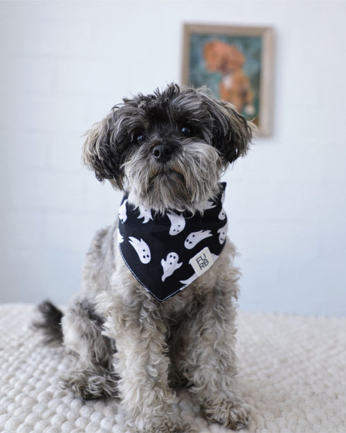 Close-up of ghost-print dog bandana, soft cotton fabric, perfect for Halloween celebrations and pet photos