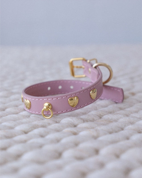 Close-up of mauve studded leather dog collar showing polished studs, adjustable strap, and secure hardware