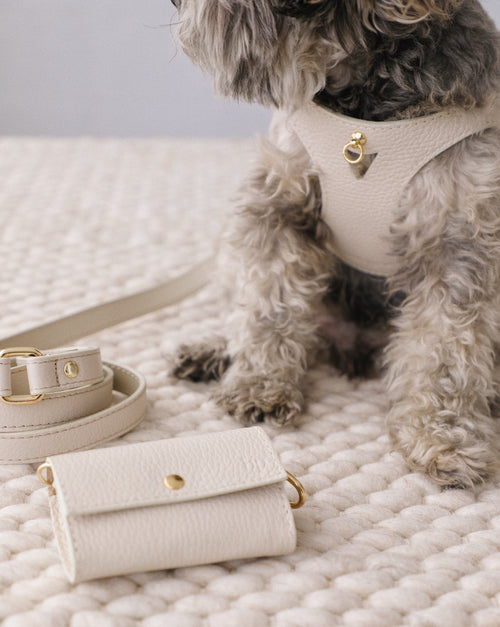 Luca Harness Ivory Leather Walk Kit