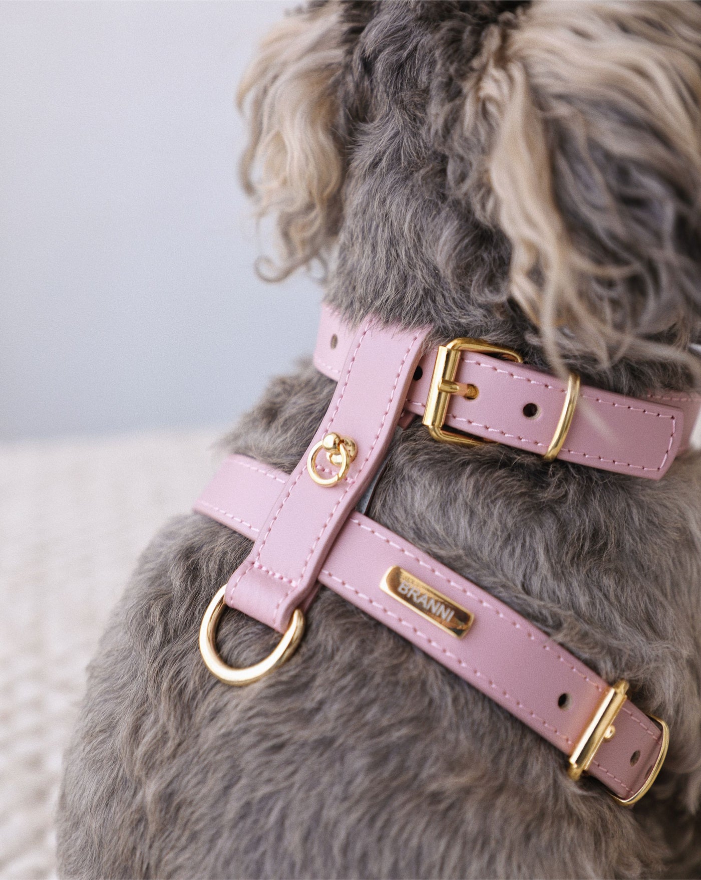 Palermo Mauve Leather Dog Harness