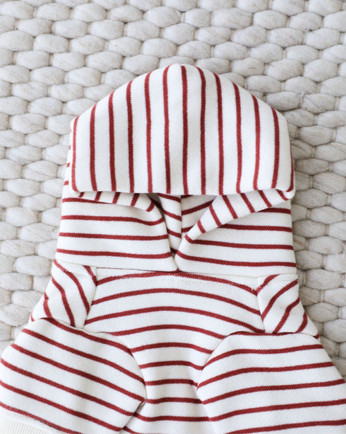 Cozy red stripe dog hoodie on small dog, perfect for outdoor strolls.