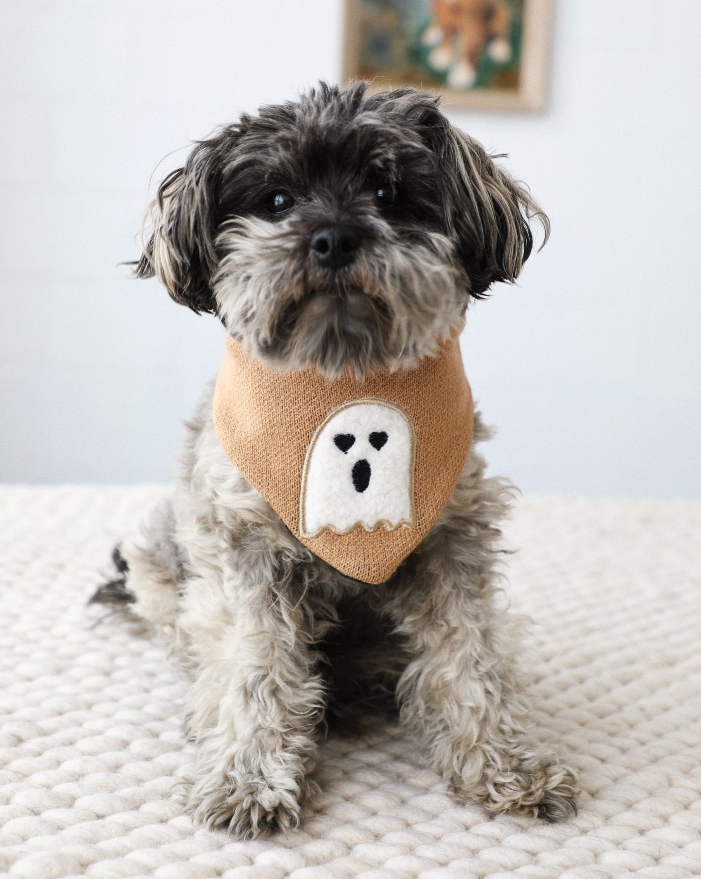 Boo Thang Reversible Dog Bandana