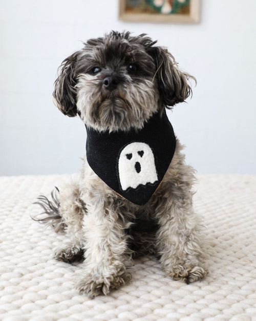 Black and orange reversible dog bandana for holiday costumes or outfits.