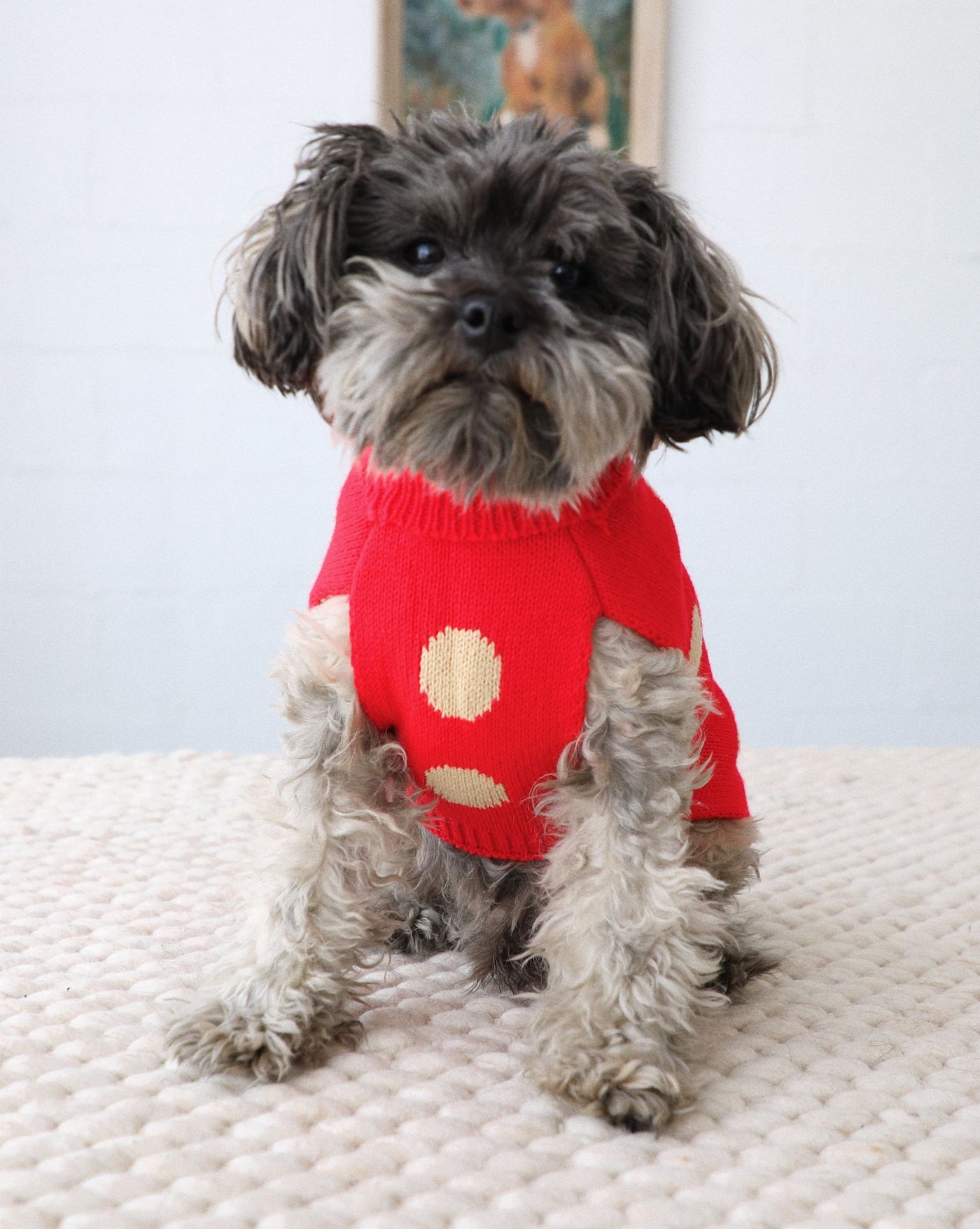 Jingle Pup Reversible Dog Sweater