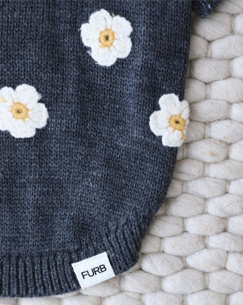 Lifestyle image of small dog wearing grey daisy sweater, cozy and fashionable for autumn outings