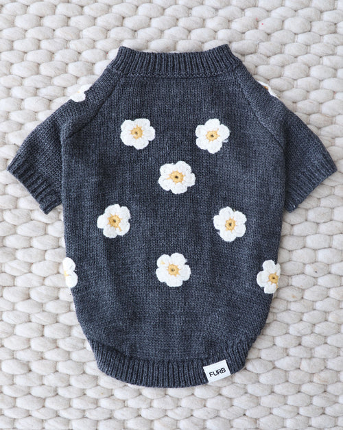 Petal Perfect grey dog sweater with daisy pattern, cozy knit fabric, ideal for small dogs in cooler weather