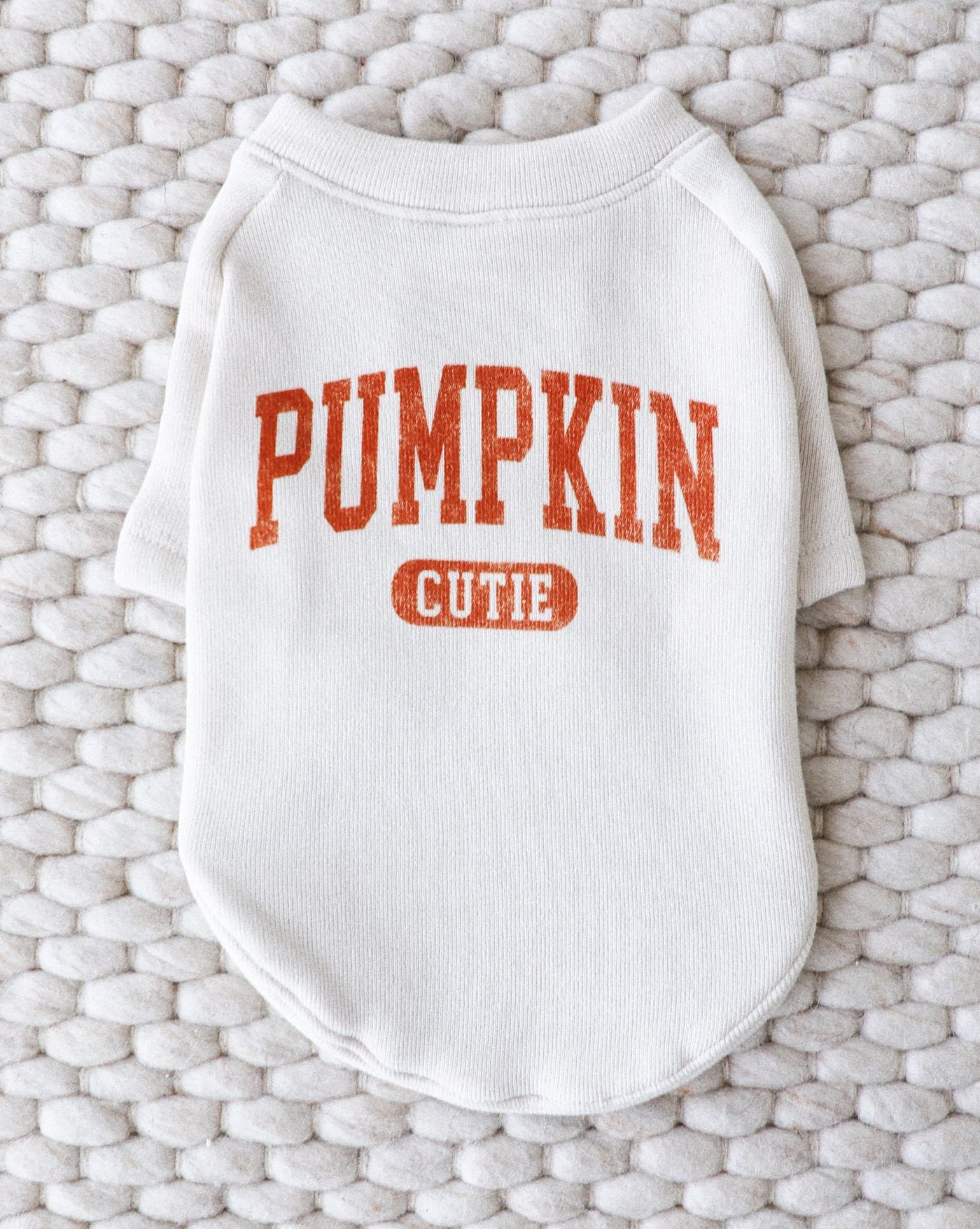 Pumpkin Cutie Dog Sweatshirt