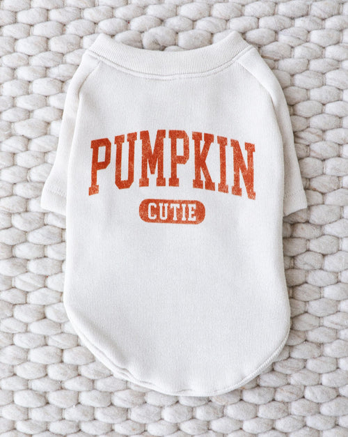 Cute pumpkin-themed dog sweatshirt in orange, perfect for fall and Halloween fun.