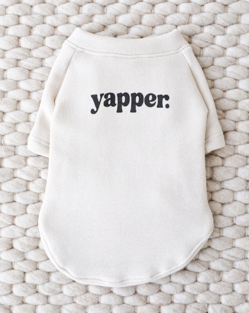 Lil Yapper dog sweatshirt in playful design, soft knit for small dogs.