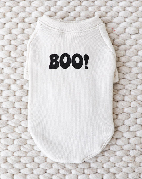 Fun “Hey Boo” dog sweatshirt in cozy knit, perfect for Halloween and fall walks.