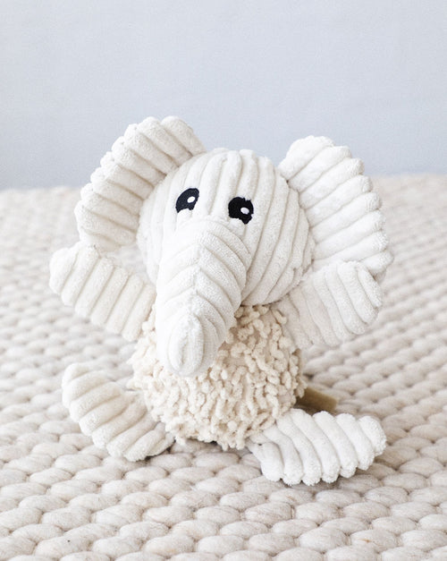 Grey plush elephant dog toy with oversized ears, soft and cuddly for small dogs.