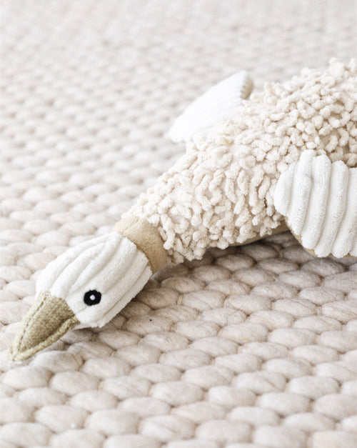 Small dog with brown and green mallard duck plush toy for interactive play.