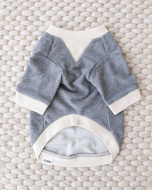 Cozy charcoal dog sweatshirt for small to medium dogs, perfect for fall walks and layering.