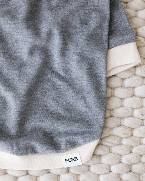 Small dog wearing charcoal sweatshirt, perfect for chilly weather strolls.