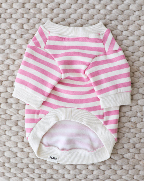 Small dog wearing soft pink and ivory striped sweatshirt for cool days.
