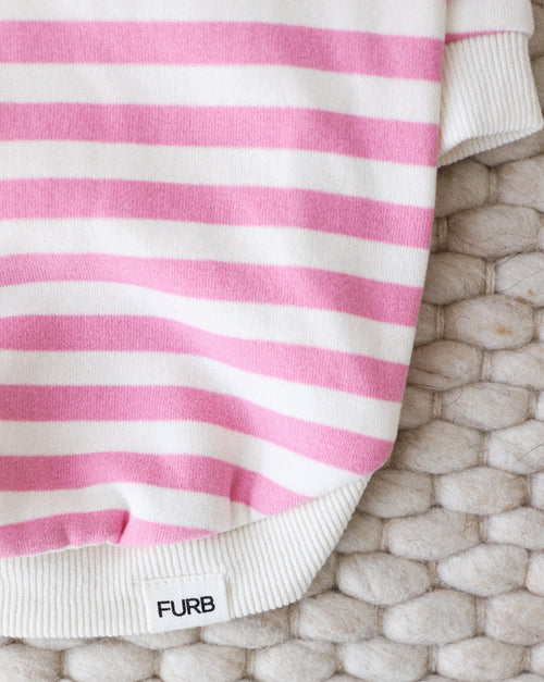 Cozy striped pink and ivory dog sweatshirt, ideal for chilly weather.
