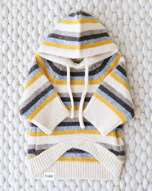 Venice Retro Stripe Dog Hoodie