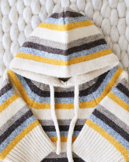 Venice Retro Stripe Dog Hoodie