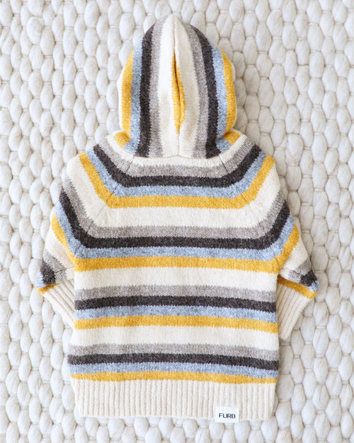 Venice Retro Stripe Dog Hoodie