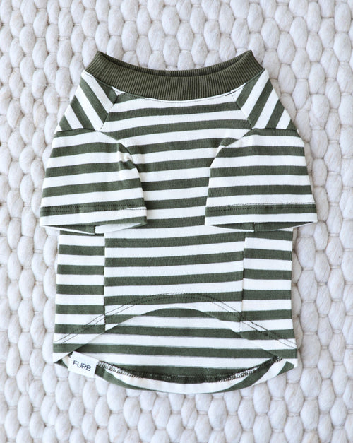 Playful Pooch Olive + Ivory Striped Dog T-Shirt