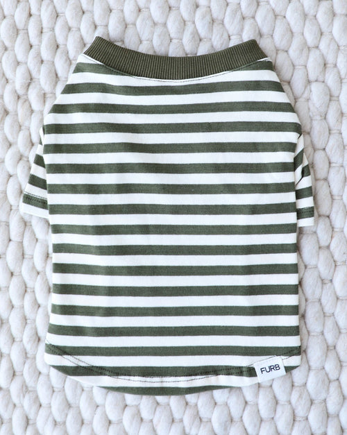 Playful Pooch Olive + Ivory Striped Dog T-Shirt