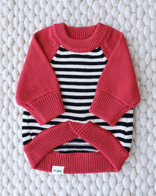 Bookworm Red Colorblock Sweater