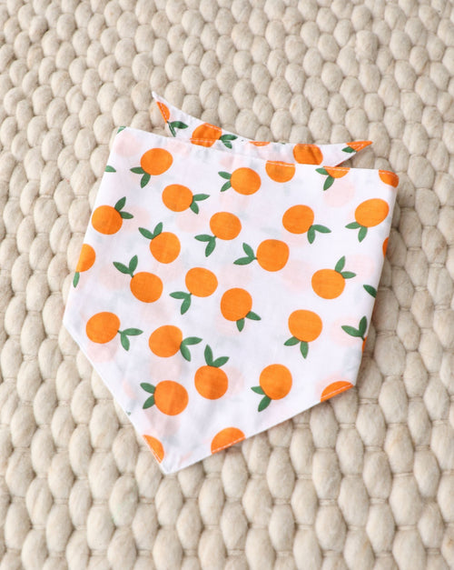 Main Squeeze Pup Dog Bandana