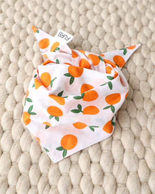 Main Squeeze Pup Dog Bandana