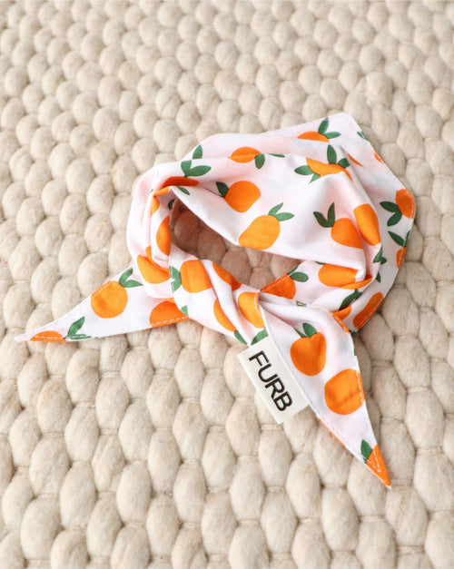 Main Squeeze Pup Dog Bandana