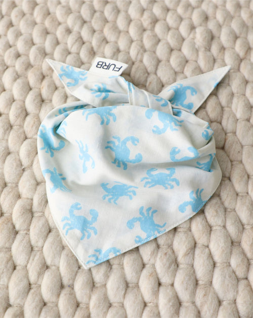 In A Pinch Blue Dog Bandana