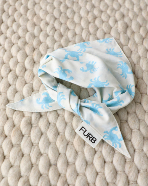 In A Pinch Blue Dog Bandana